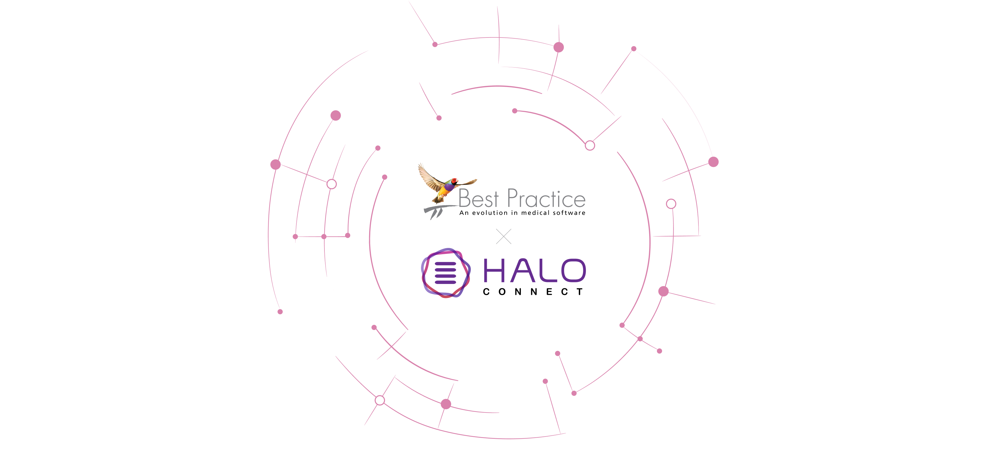 HALO CONNECT Press Release B